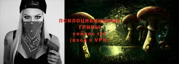 скорость Медвежьегорск