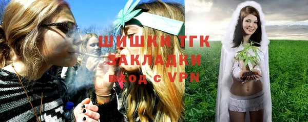 хмурый Медногорск
