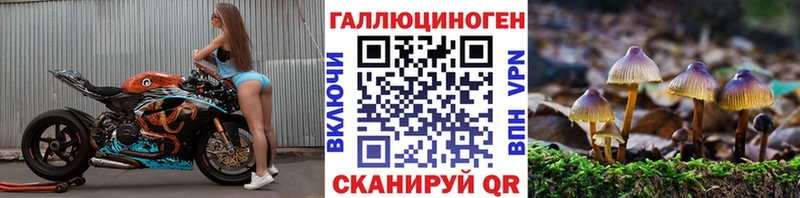 Псилоцибиновые грибы ЛСД  где продают наркотики  Карабаш 